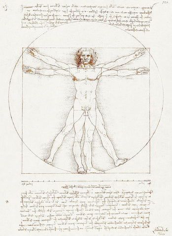 Leonardo da vinci most famous scientific drawing