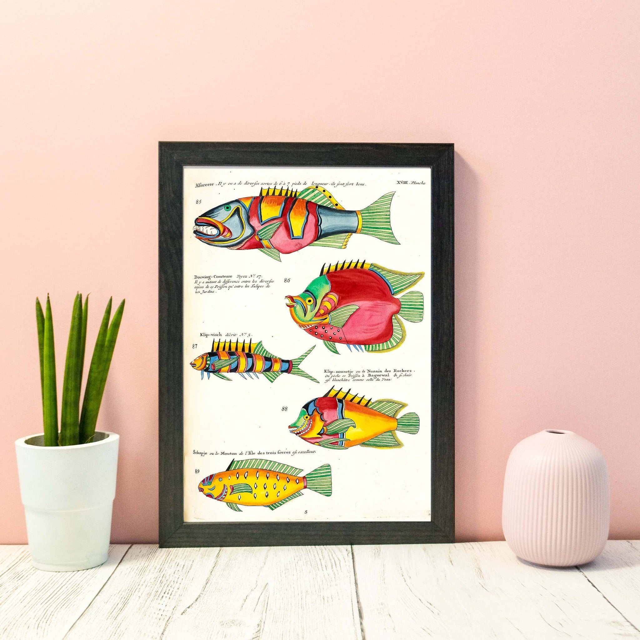 Wall Art Print Fishing vintage colorful poster