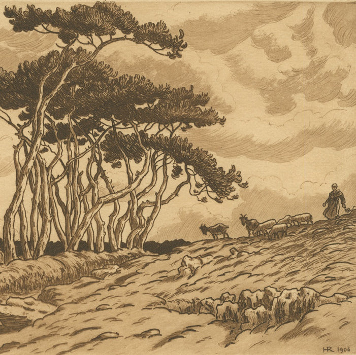 Etching - by RIVIERE, Henri - titled: Pine Trees at Landemendy