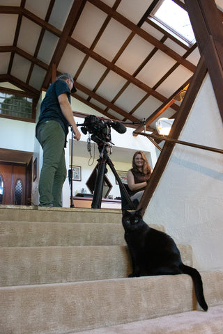 black cat looks on while Tahmi is being filmed