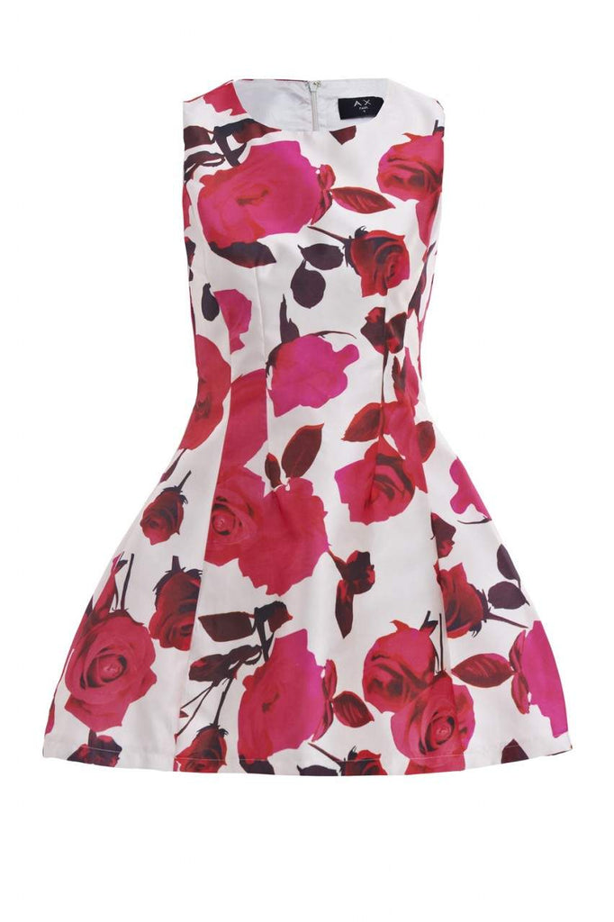 Pink Floral Print Skater Dress – AX Paris