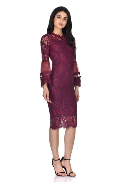 Plum Lace Frill Sleeve Midi Dress – AX Paris