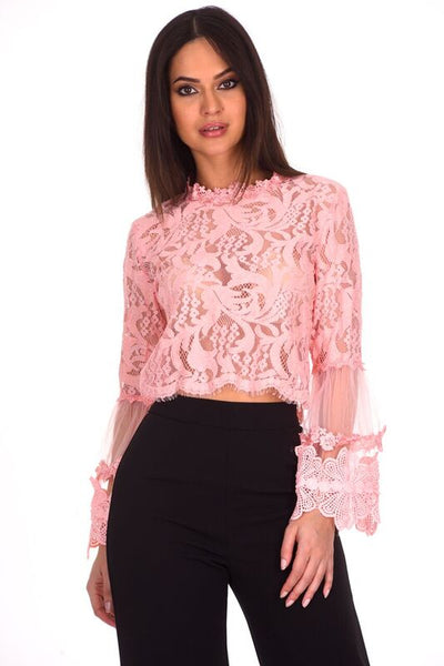 Pink Sheer Lace Long Sleeve Top – AX Paris
