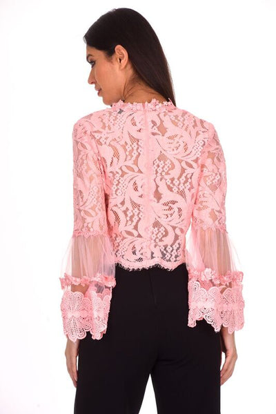 Pink Sheer Lace Long Sleeve Top – AX Paris