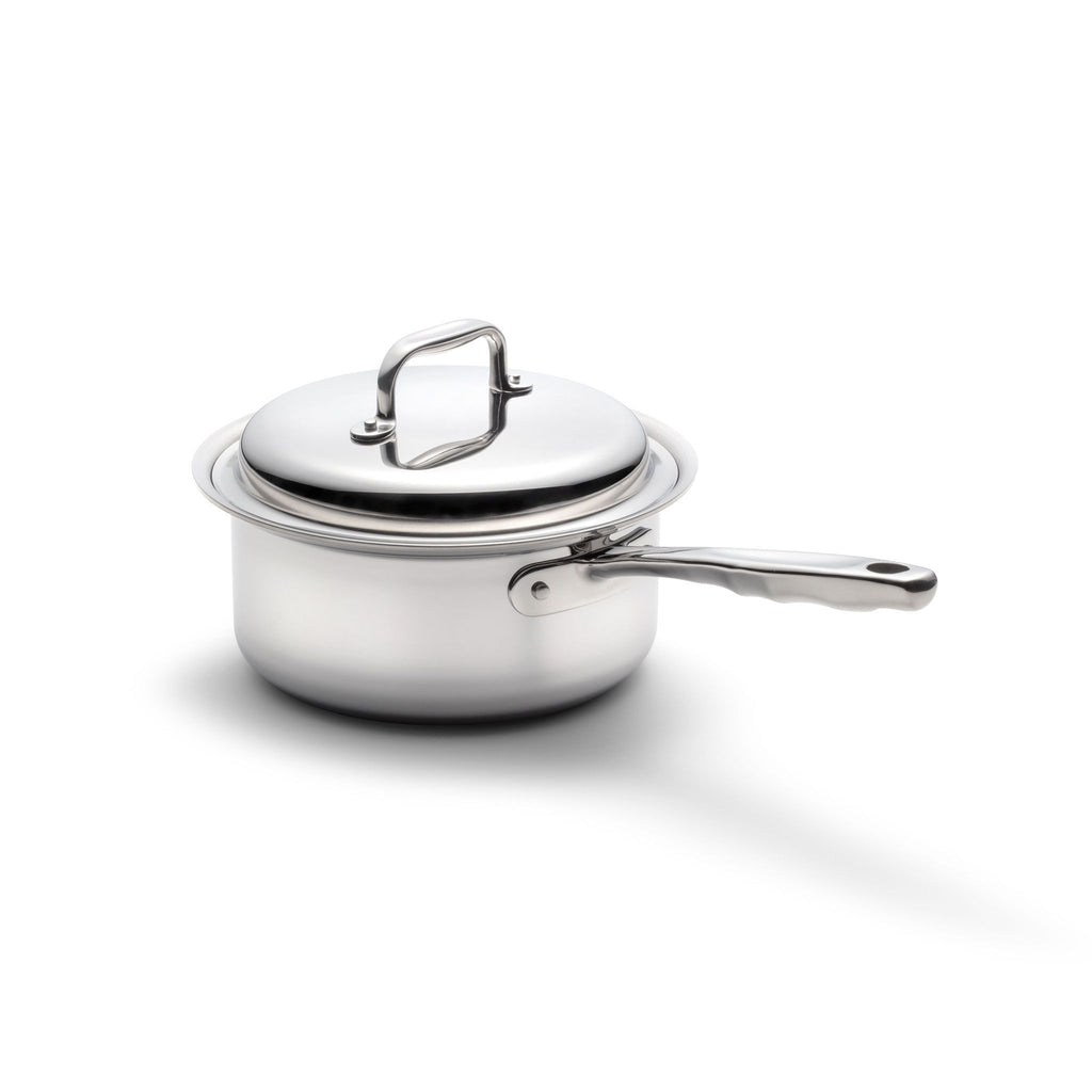 VeSteel 1 Quart Saucepan, Stainless Steel Saucepan with Lid, Small Sauce  for Home Kitchen Restaurant Cooking