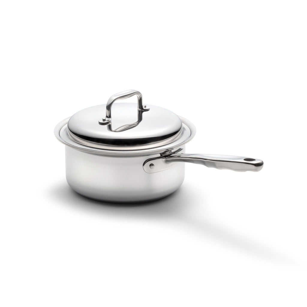 VeSteel 1 Quart Saucepan, Stainless Steel Saucepan with Lid, Small Sauce  for Home Kitchen Restaurant Cooking 