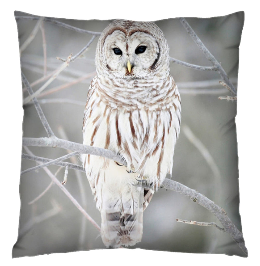 barred owl plush