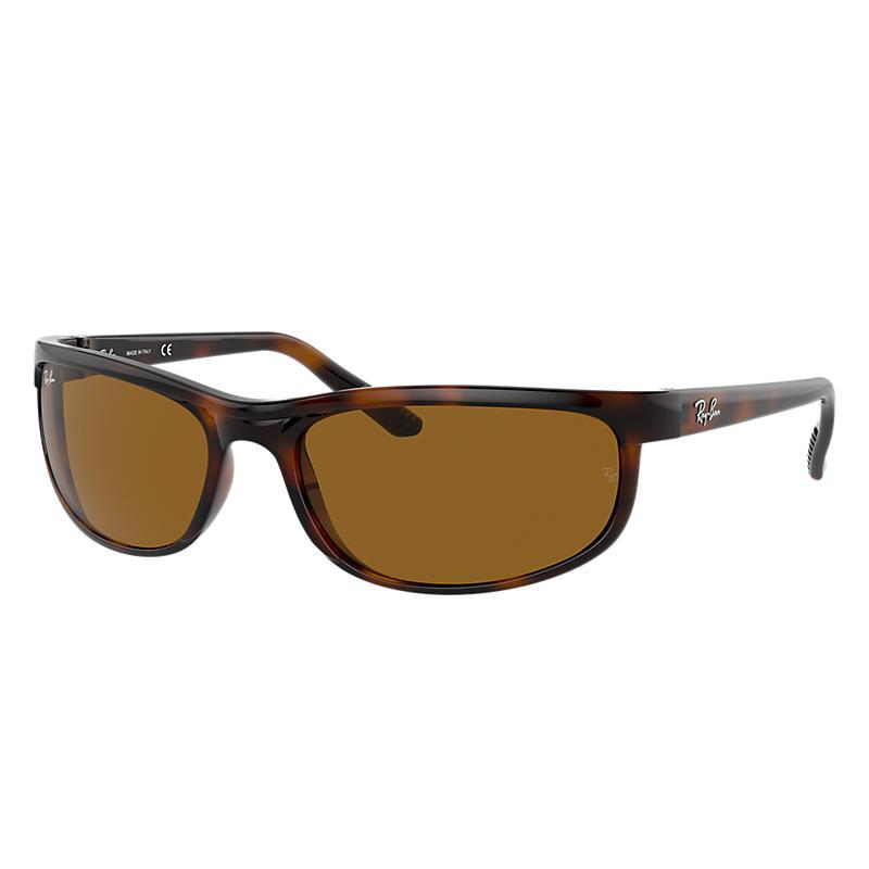 ray ban predator brown