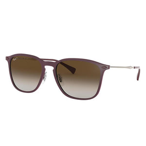 Ray-Ban Rb8353 Silver, Polarized Brown 