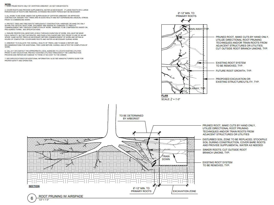 Root Pruning Schematic