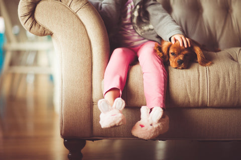 dog on couch with little girl