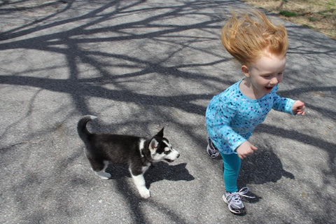 girl with husky puppy