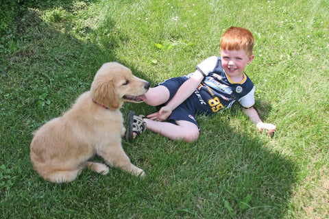 Boy with golden retriever