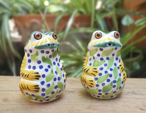 Frog Salt & Pepper Shaker Set Multi-colors