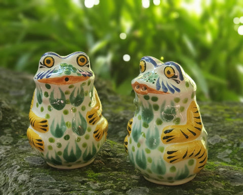 mexican-ceramic-Frog-water animal-decorative-salt-and-pepper-shaker-table top-hand painted-hand crafted-kitchen-eat different