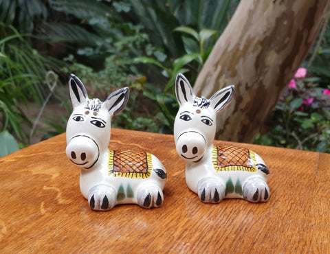 mexican donkey salt and pepper decorative pottery table decor-hand crafted-hand painted-kitchen-eat-different