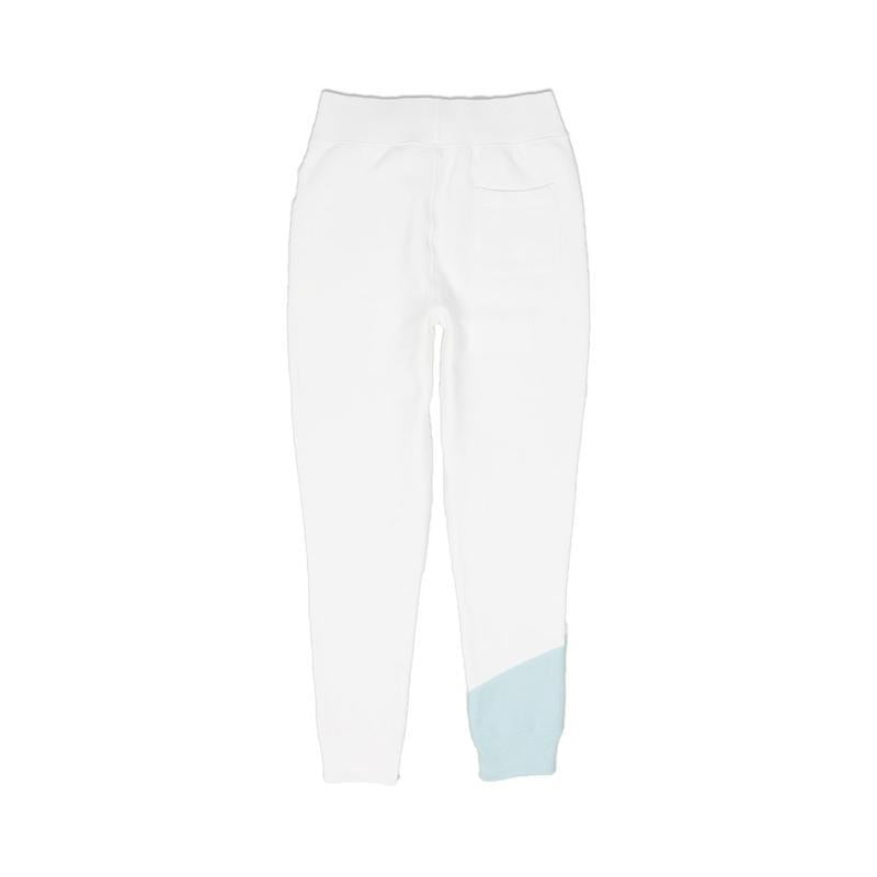 champion reverse weave colorblock joggers