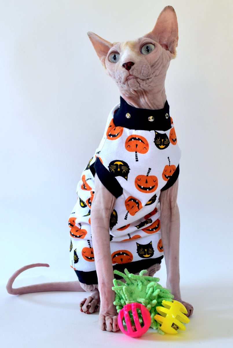58 Top Images Hairless Cat Costume : Sphynx Cat Clothing | Hairless Hipsters