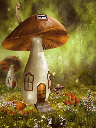 Katebackdrop£ºKate Mushroom House Children Backdrop Magical Fabric Printed