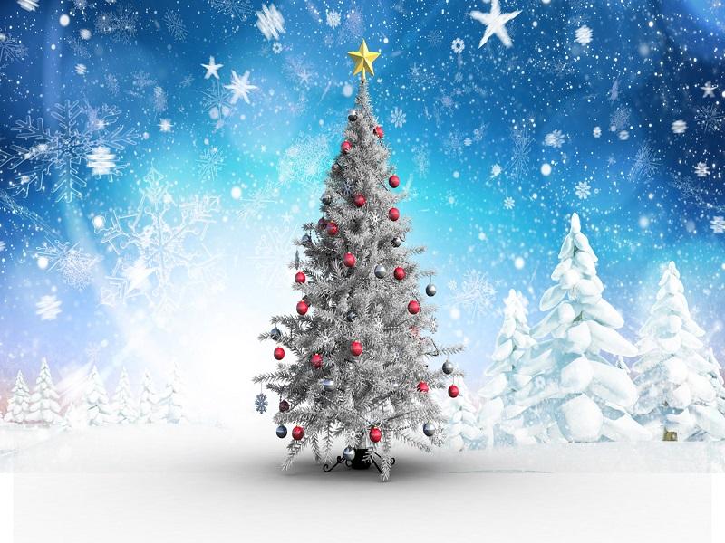 Buy discount Kate Blue background Snowflake Christmas Tree photo booth ...