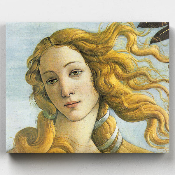 Paint Venus by Botticelli