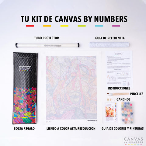 Canvas by Numbers kit