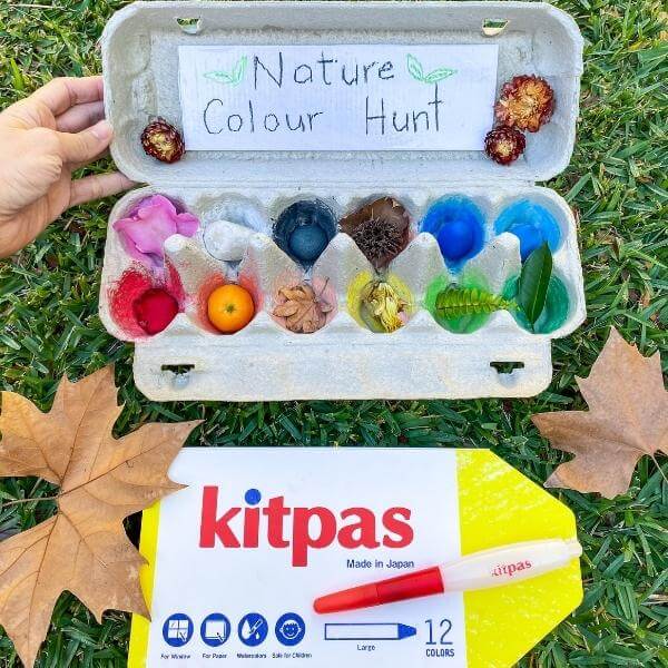 Activity 27: Nature Colour Hunt with Cardboard Rolls & Tubes