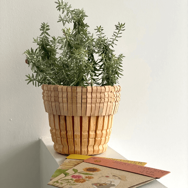 Activity 43: Planter Pot from Wooden Clothes Pegs