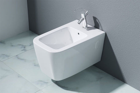 bidet