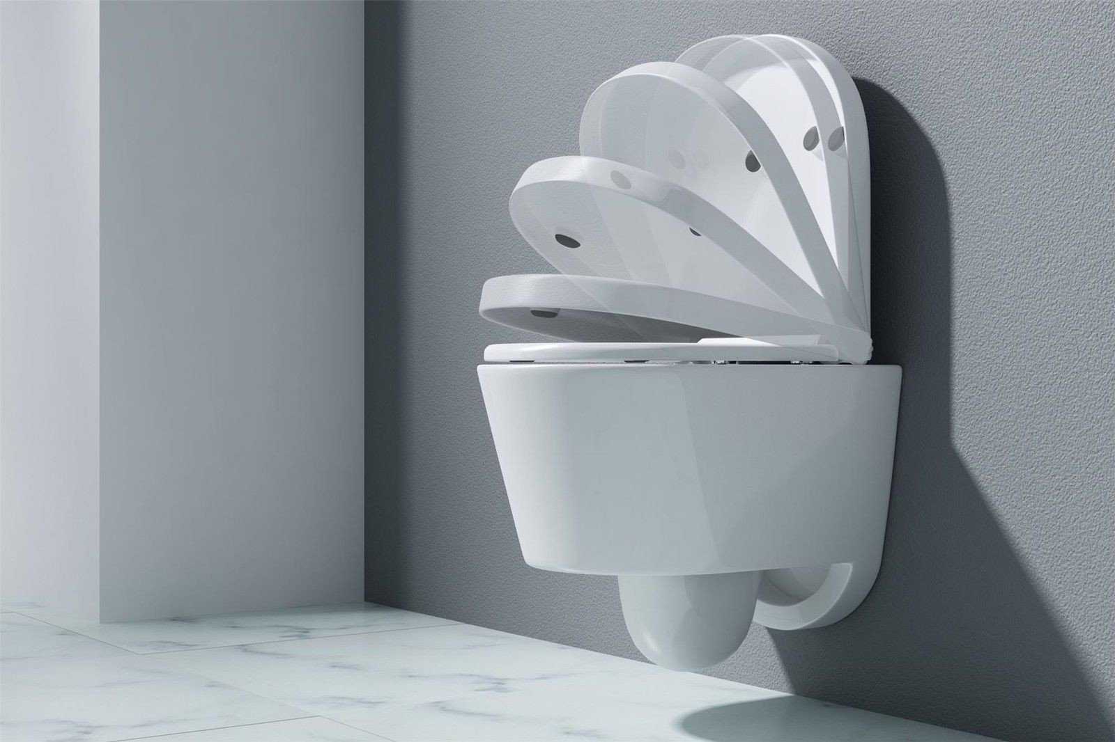 wall hung toilet