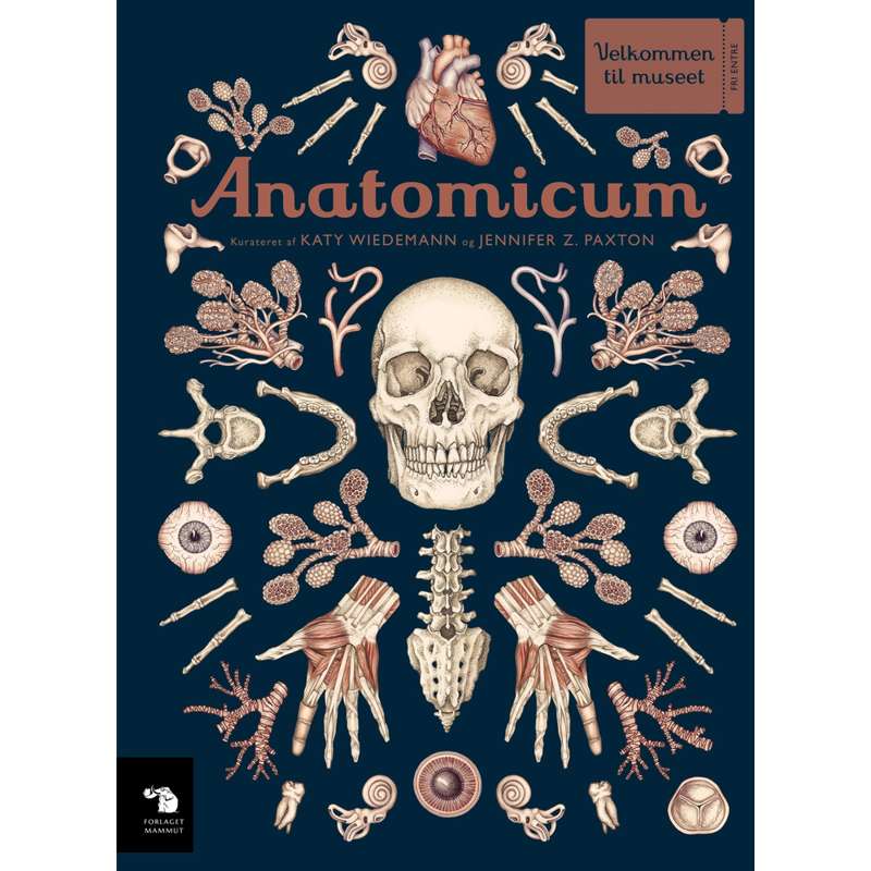 Forlaget Mammut Velkommen til Museet - Anatomicum thumbnail