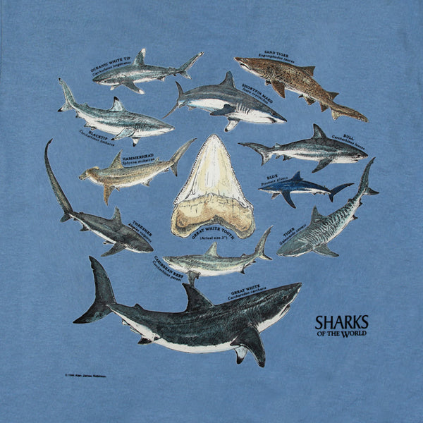 singer posters Archives - Shark Shirts