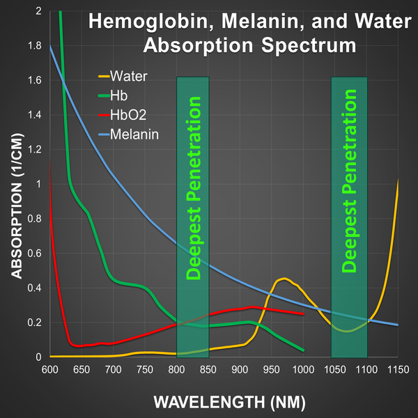 Red Light Therapy Wavelengths Deepest Penetration Absorption Spectrum