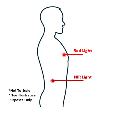 Red Near Infrared NIR Penetration Depth Skin Wavelengths