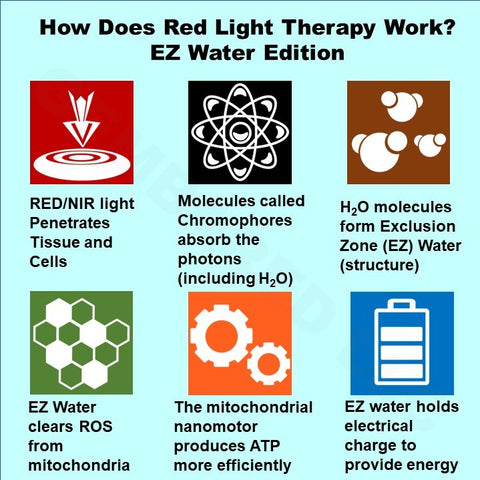 Red Light Therapy Photobiomodulation LLLT Near Infrared EZ Water Structured Water Exclusion Zone