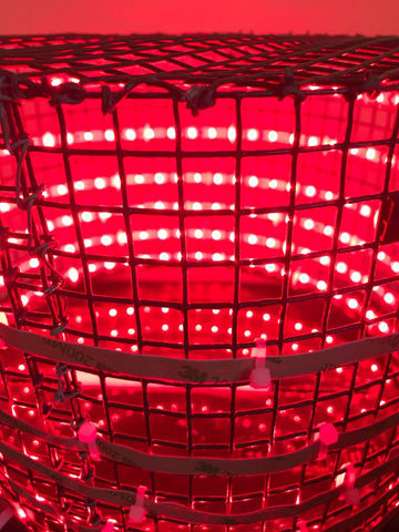 Cossack Hat Red LED Strip Light DIY Red Lights on the Brain
