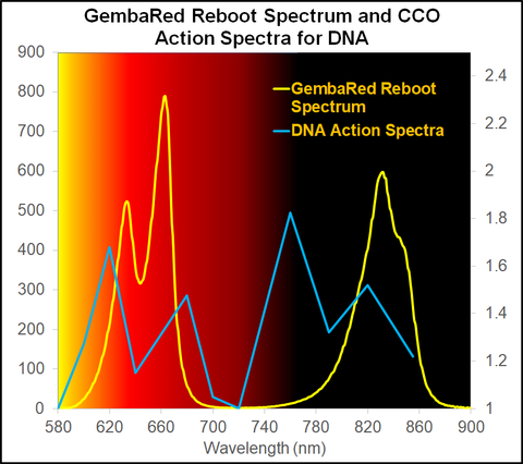 Cytochrome C Oxidase Mitochondria Complex IV ATP Absorption Red Light Therapy Photobiomodulation Spectrum