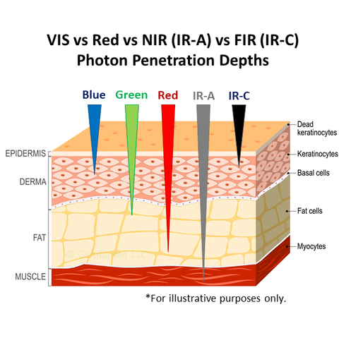 Red Near Infrared Far Infrared IR-A IR-C Wavelength Penetration Depth Photobiomodulation therapy