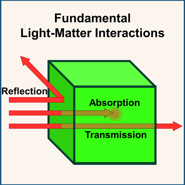 Light Penetration Transmission Reflection Absorption Red Light Therapy