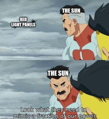 Sunlight Vs Red Light Therapy Panel Meme