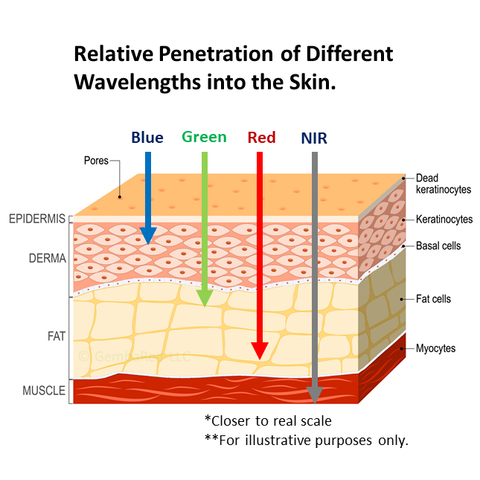 Red Near Infrared NIR Penetration Depth Skin Wavelengths two
