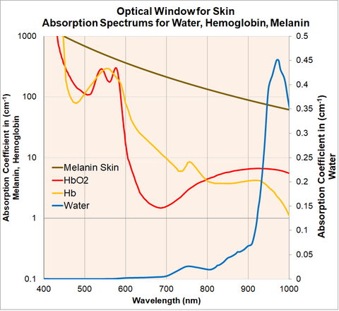 Optical Window Human Skin Penetration Red Light Therapy