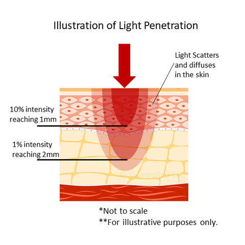 Red Near Infrared NIR Penetration Depth Skin Wavelengths Profile