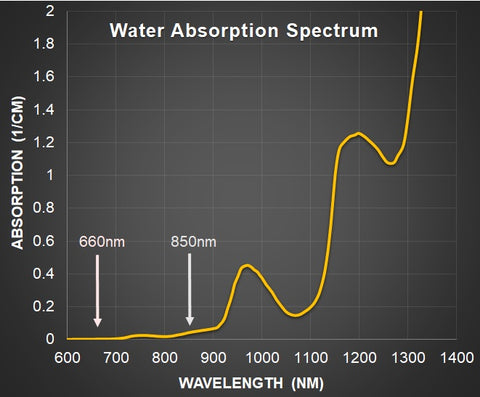 Photobiomodulation Red Light Therapy Water Absorption EZ Water Spectrum