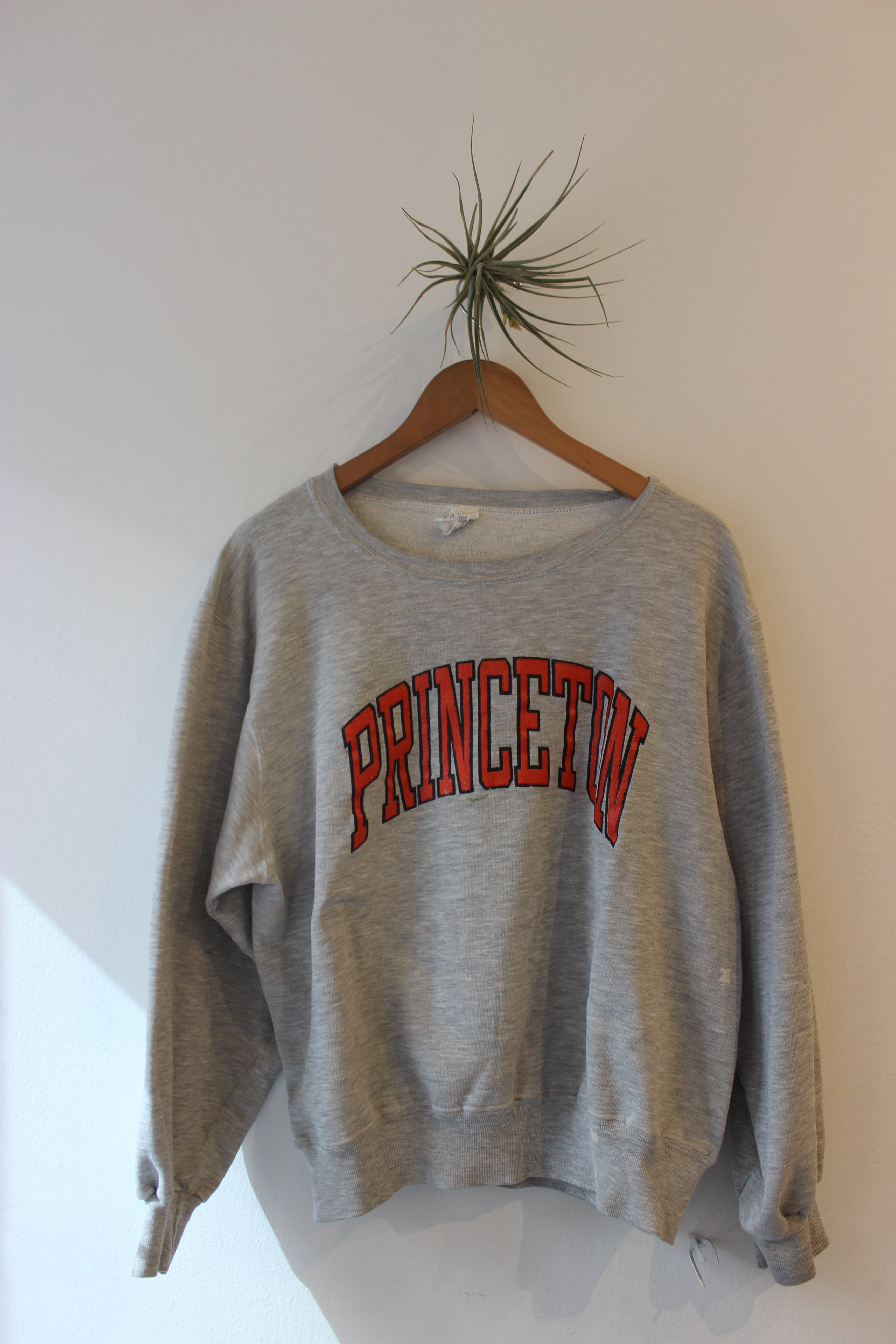 Vintage Princeton Sweatshirt – alxndranyc