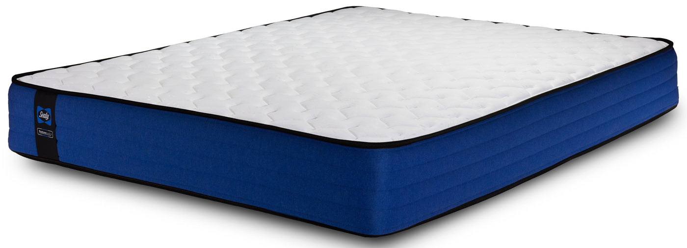 sealy titanium firm mattress