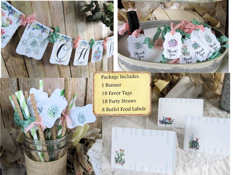 baby succulent baby shower favors