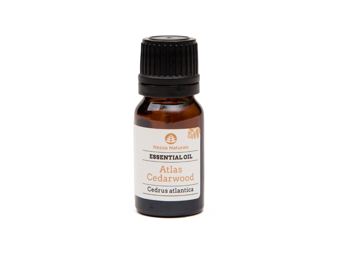 Cinnamon Bark: Organic Essential Oil – Shade Mountain Naturals