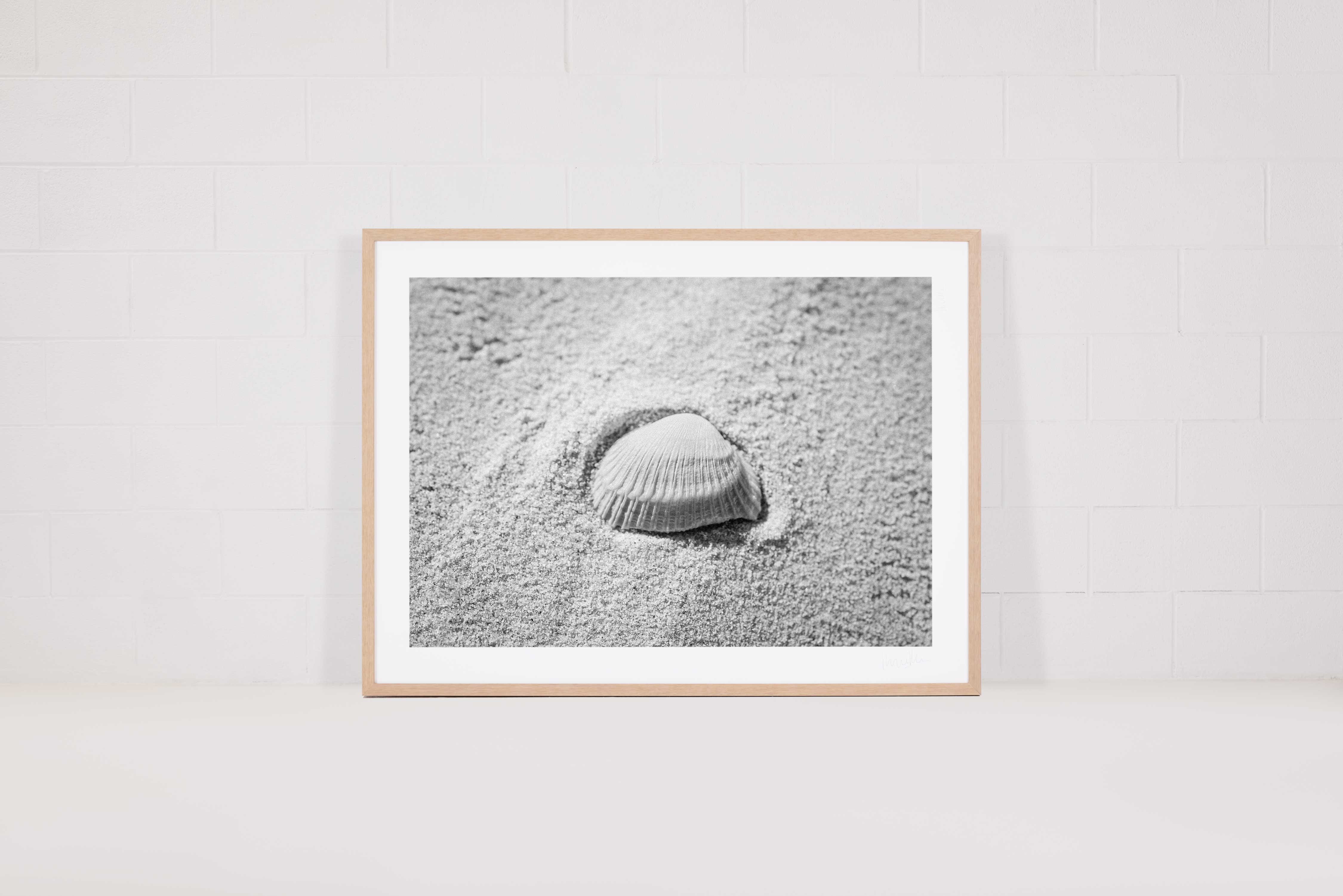 Sally Sells Seashells Fine Art Photographic Prints By Poppie Pack 