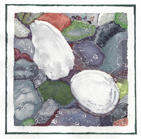 shoreline rocks and shells